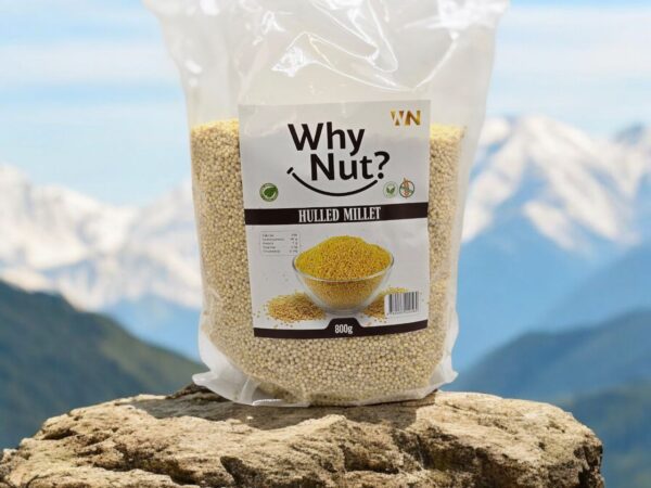 HULLED MILLET HULLED MILLET